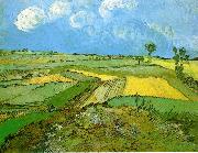 Vincent Van Gogh Wheat Fields at Auvers Under Clouded Sky oil